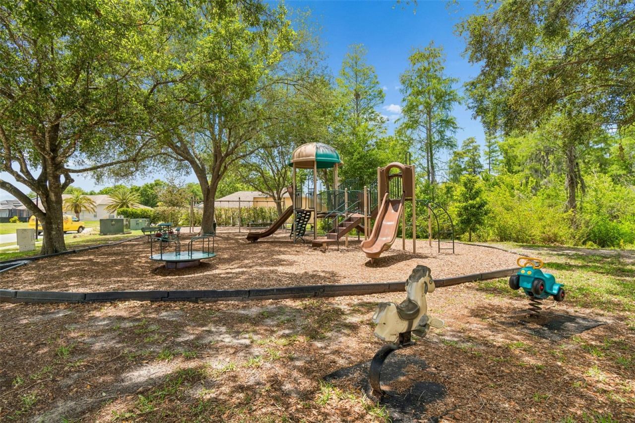 1021 Arlinbrook Drive , Trinity, FL 34655 Photo