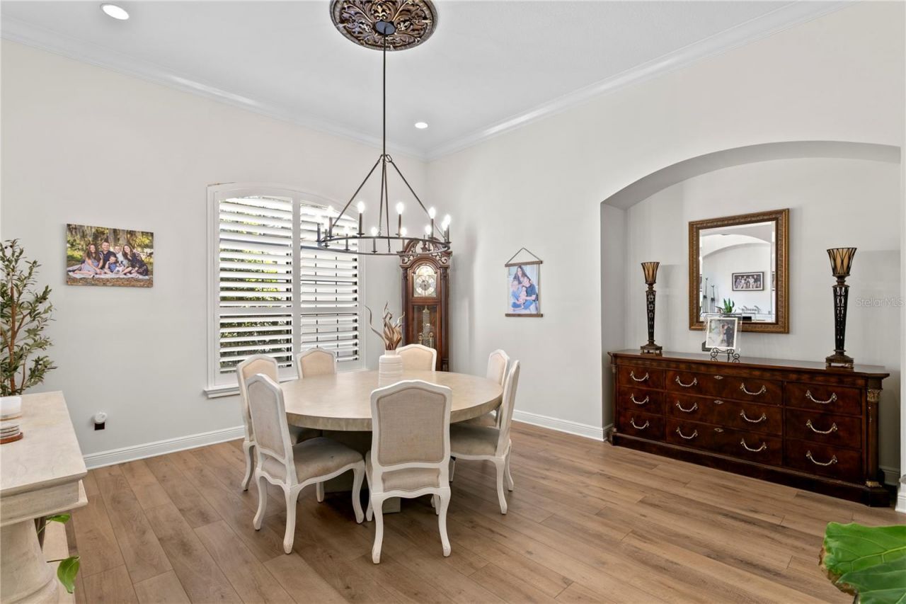 16303 Dunlindale Drive, Lithia, FL 33547 Photo