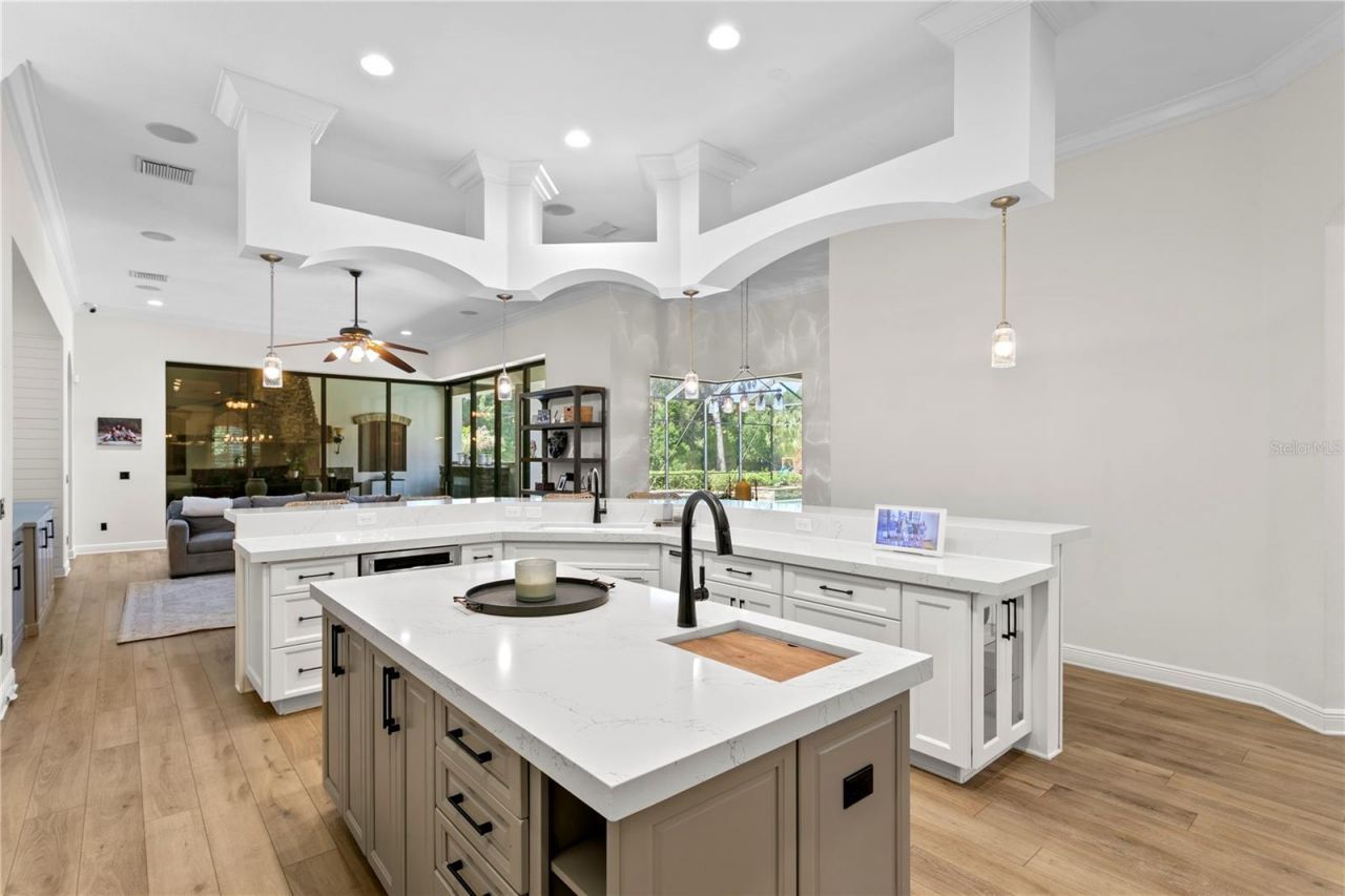 16303 Dunlindale Drive, Lithia, FL 33547 Photo