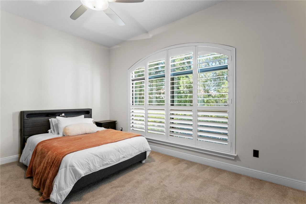 16303 Dunlindale Drive, Lithia, FL 33547 Photo