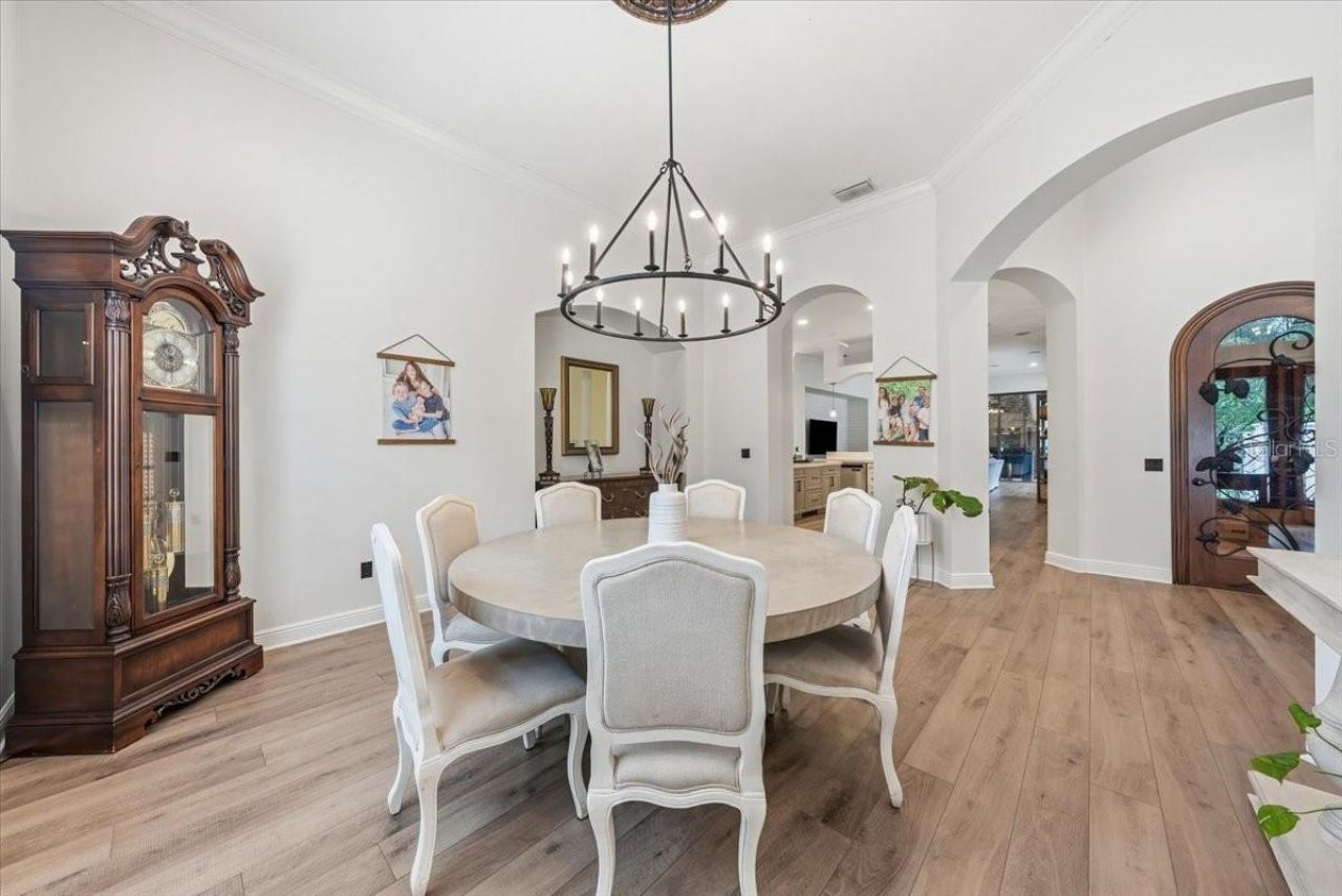 16303 Dunlindale Drive, Lithia, FL 33547 Photo