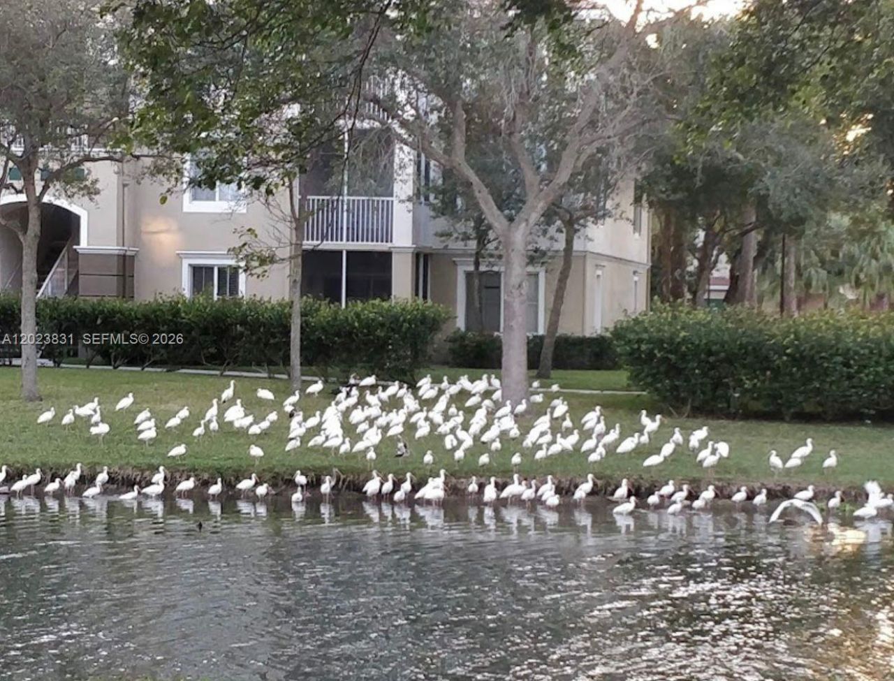 11715 W Atlantic Blvd , Unit 1826, Coral Springs, FL 33071 Photo