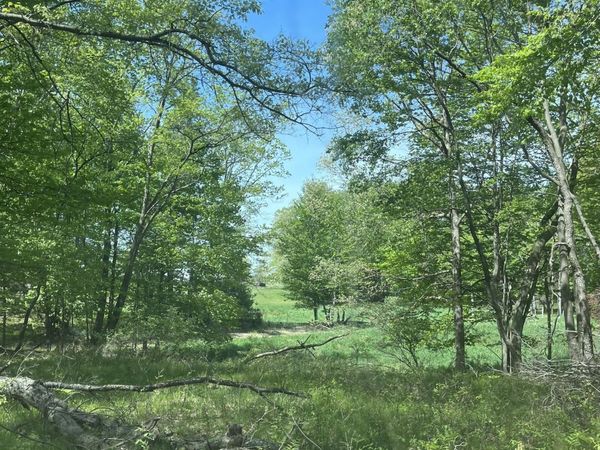 3685 Cypress Road, Blanchard, MI 49310