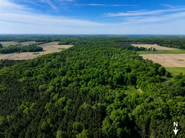 3685 Cypress Road, Blanchard, MI 49310