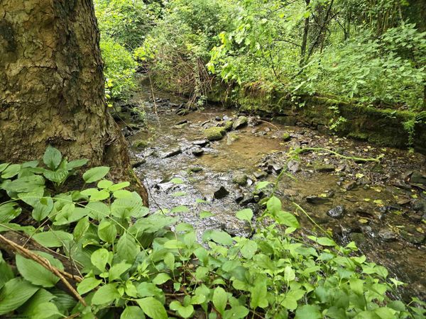 136 Birch Hollow Road, Morgantown, WV 26508