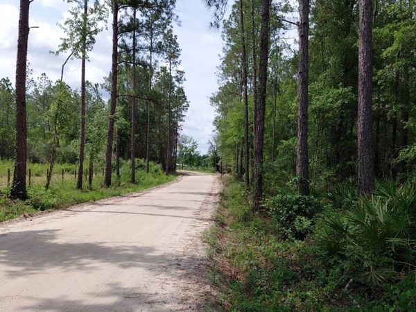 339 Doc Rider Road, Folkston, GA 31537