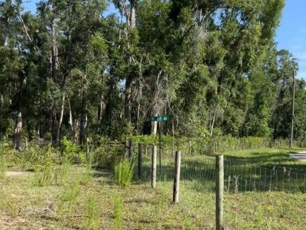 NE 489th St, Old Town, FL 32680