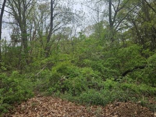 37 Book Street, Dracut, MA 01826