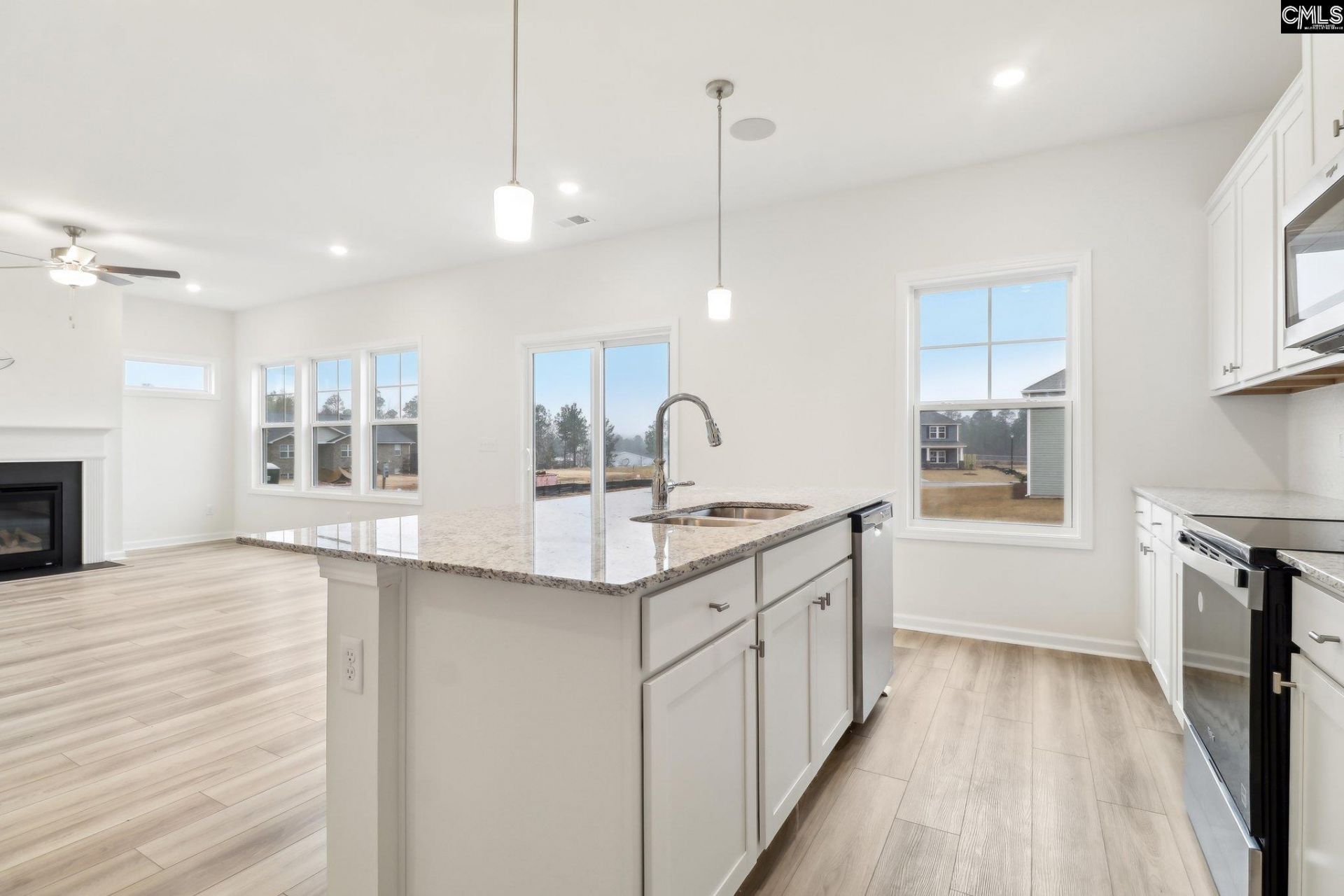 157 Dew Blossom Drive  Photo 7
