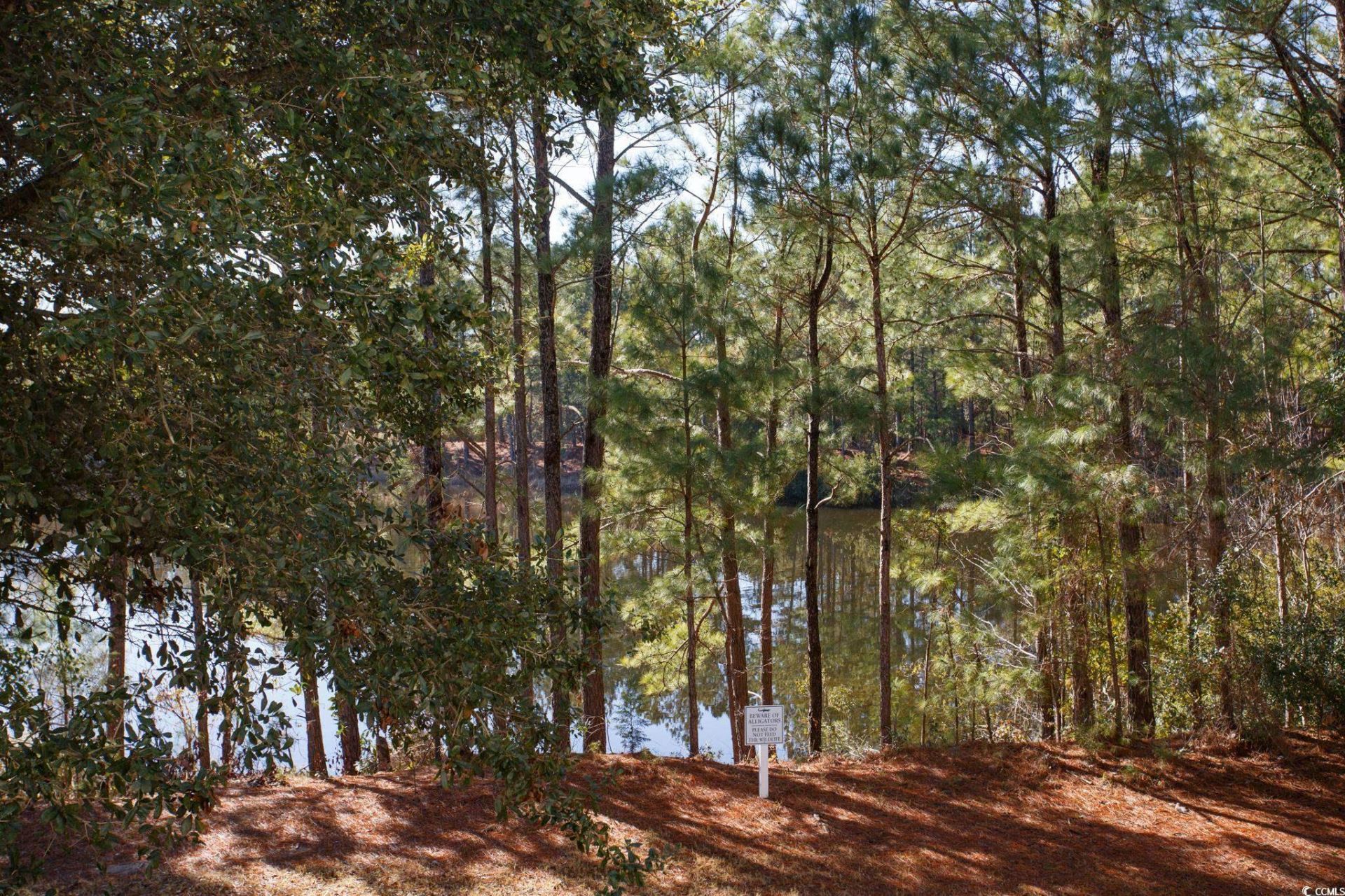 6253 Catalina Dr.  Photo 24