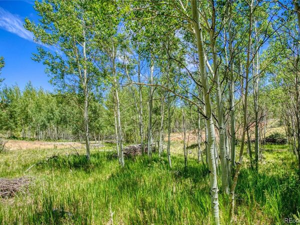 302 Rickel Circle , South Fork, CO 81154
