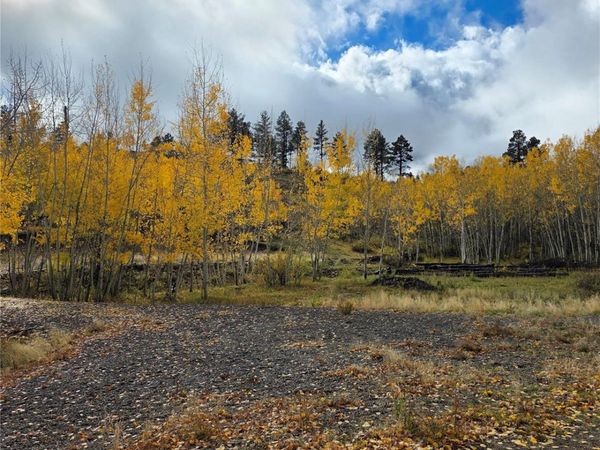 302 Rickel Circle , South Fork, CO 81154