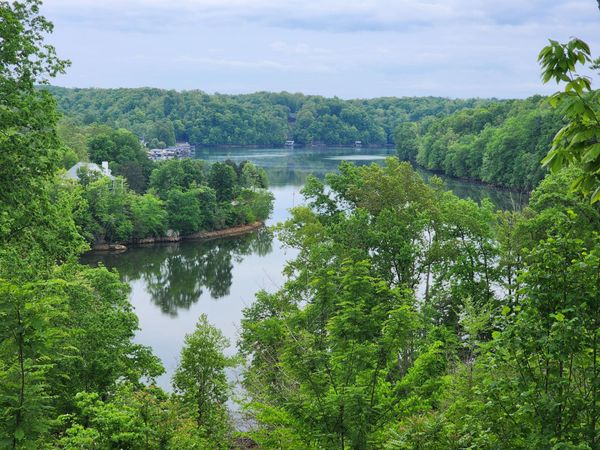 Lot 69 Washburn CT , Hardy, VA 24101