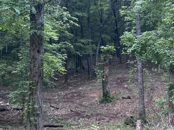 296 County Road 263 , Niota, TN 37826