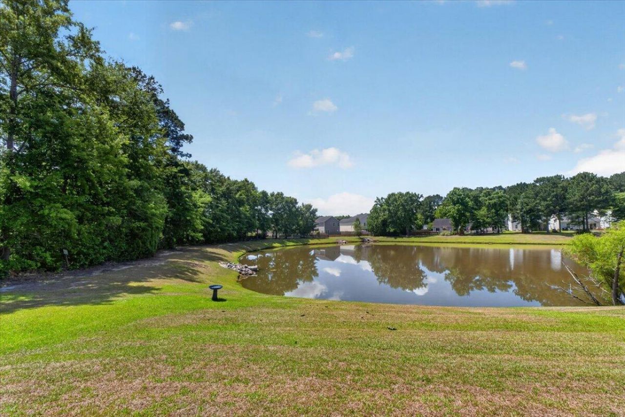 333 Salkahatchie Street Photo 37