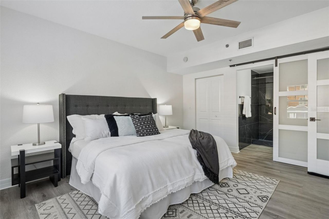 219 4th Avenue N, Unit 201, Saint Petersburg, FL 33701 Photo