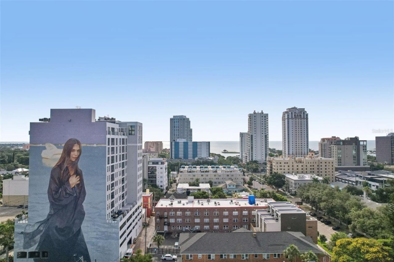 219 4th Avenue N, Unit 201, Saint Petersburg, FL 33701 Photo