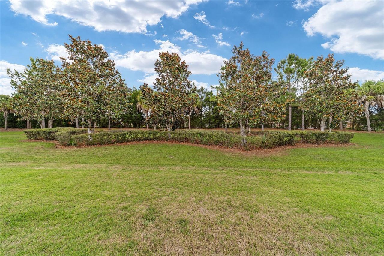 7684 SW 94th Circle, Ocala, FL 34481 Photo