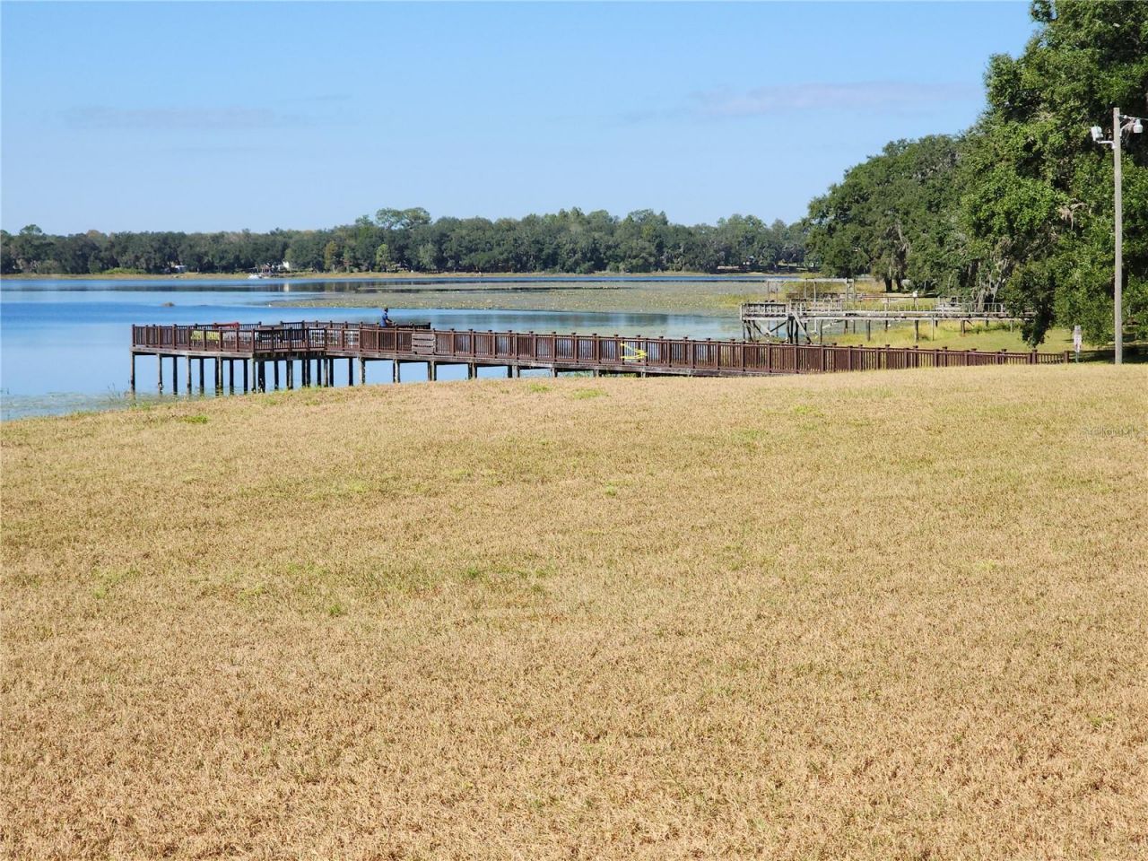 19729 SW Lark Drive, Dunnellon, FL 34431 Photo