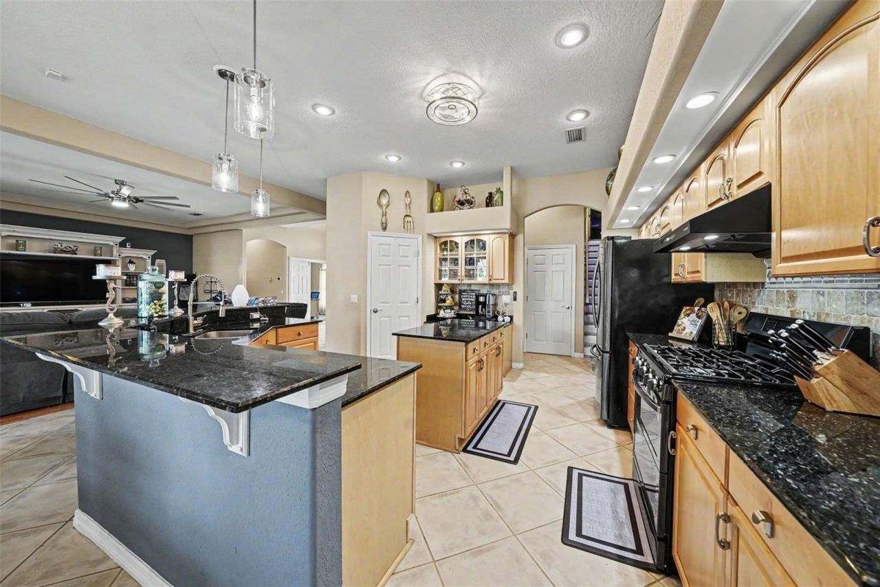 2305 Valrico Forest Drive, Valrico, FL 33594 Photo