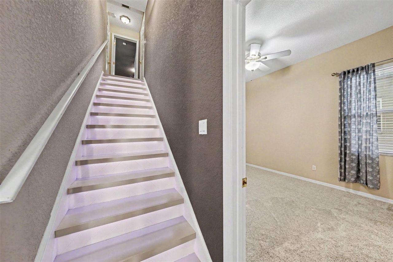 2305 Valrico Forest Drive, Valrico, FL 33594 Photo