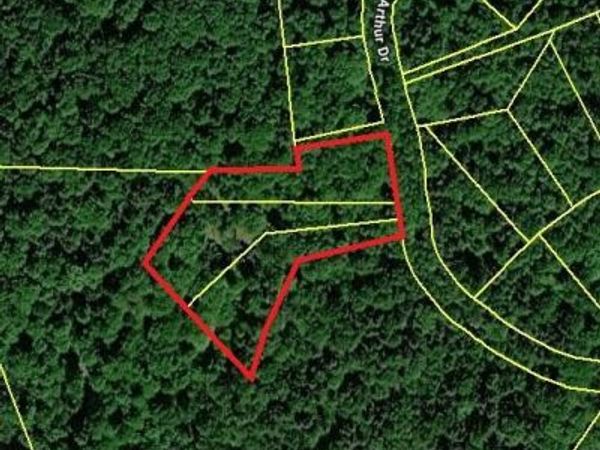Lot 167-169 Arthur Drive, Newfoundland, PA 18445