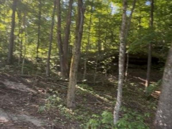 Lot 133 - 135 Wilderness Road , Mammoth Cave, KY 42259