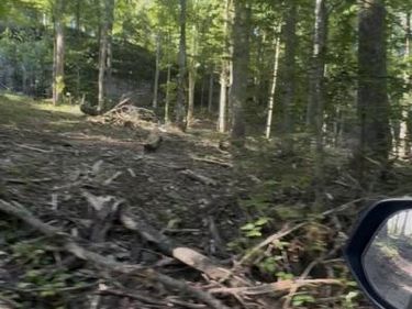 Lot 138 & 139 Wilderness Road , Mammoth Cave, KY 42259