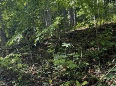 Lot 142-144 Wilderness Drive , Mammoth Cave, KY 42259