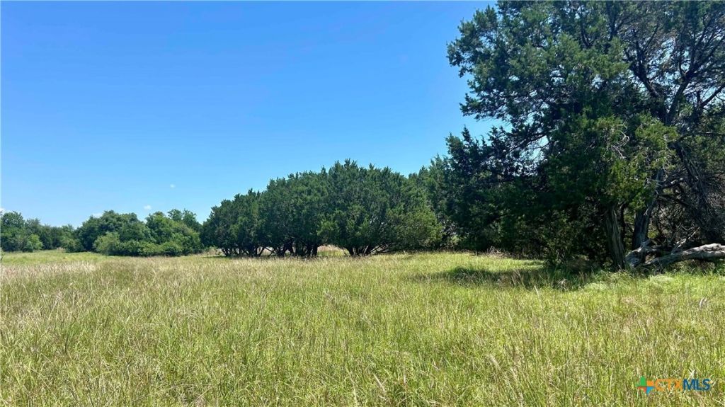 Tbd County Road 340, McGregor, TX 76657 Main Photo