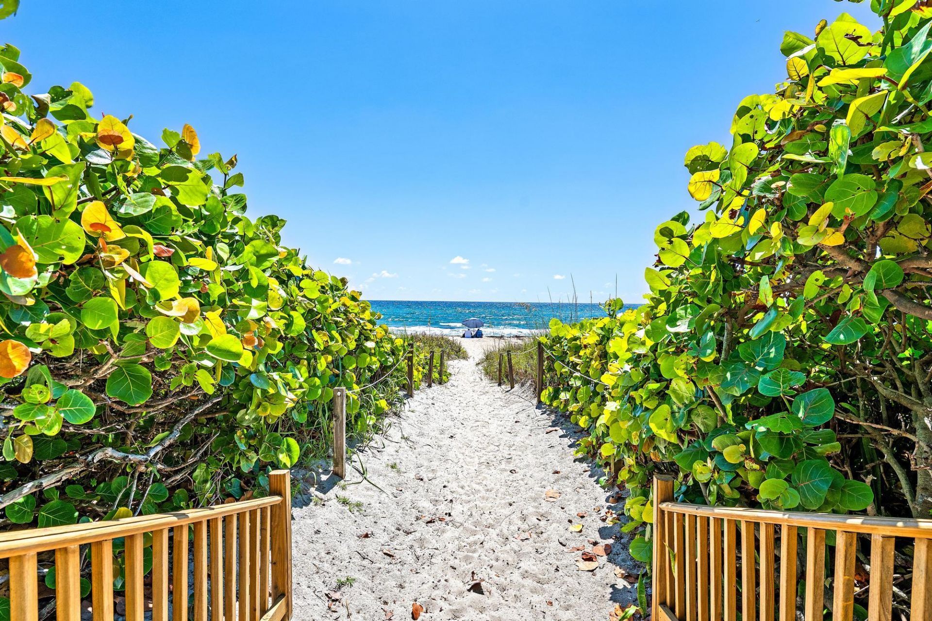 2773 S Ocean Boulevard, Unit 209, Palm Beach, FL 33480 Photo