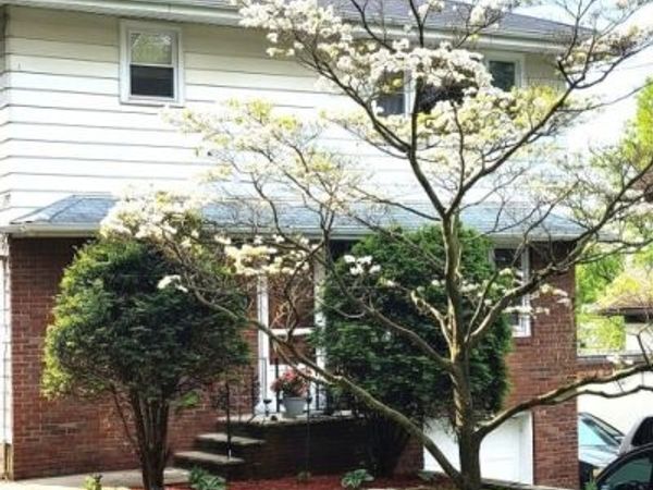 29 Woodland Road, Bloomfield, NJ 07003