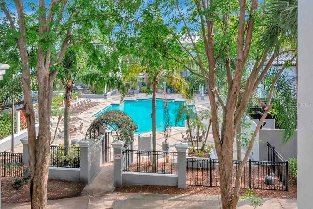 5815 Legacy Crescent Place, Unit 202, Riverview, FL 33578 Photo