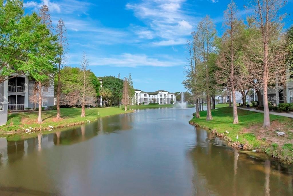 5815 Legacy Crescent Place, Unit 202, Riverview, FL 33578 Photo