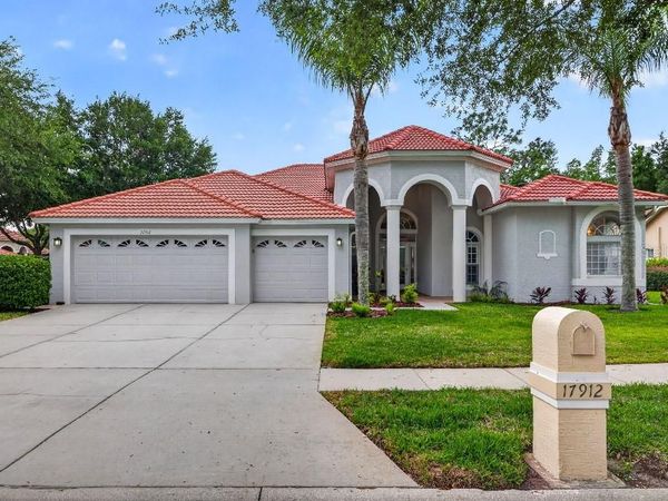17912 ARBOR HAVEN DRIVE , TAMPA, FL 33647