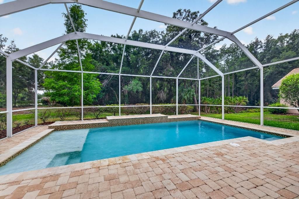 17912 Arbor Haven Drive, Tampa, FL 33647 Photo