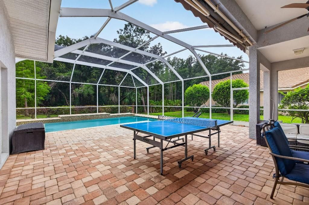 17912 Arbor Haven Drive, Tampa, FL 33647 Photo
