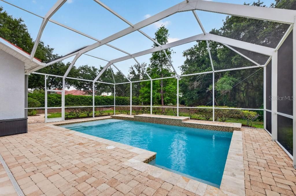 17912 Arbor Haven Drive, Tampa, FL 33647 Photo
