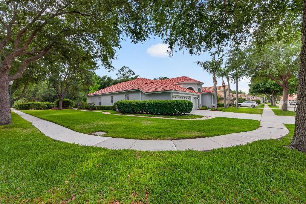 17912 Arbor Haven Drive, Tampa, FL 33647 Photo