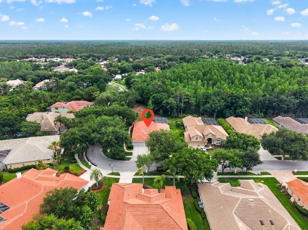 17912 Arbor Haven Drive, Tampa, FL 33647 Photo