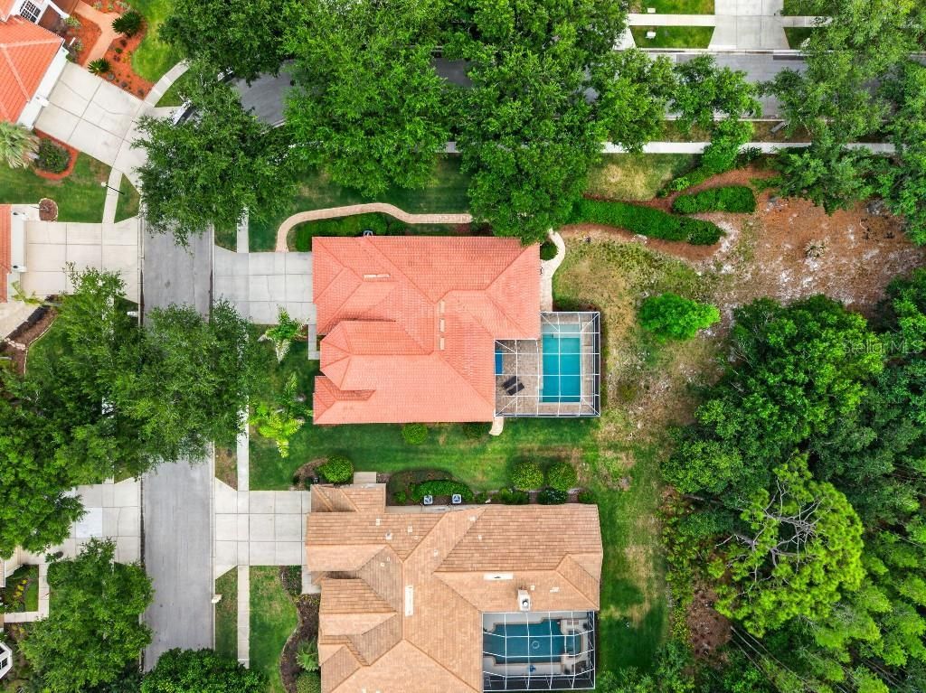 17912 Arbor Haven Drive, Tampa, FL 33647 Photo