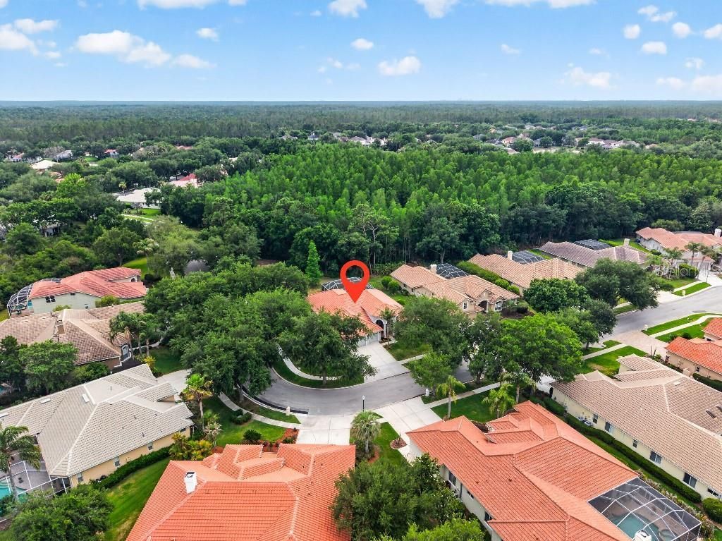 17912 Arbor Haven Drive, Tampa, FL 33647 Photo
