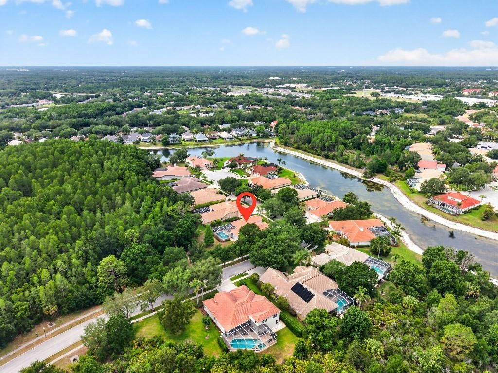 17912 Arbor Haven Drive, Tampa, FL 33647 Photo
