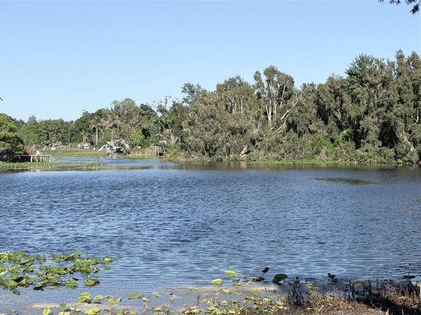 11505 N ROME AVENUE , TAMPA, FL 33612