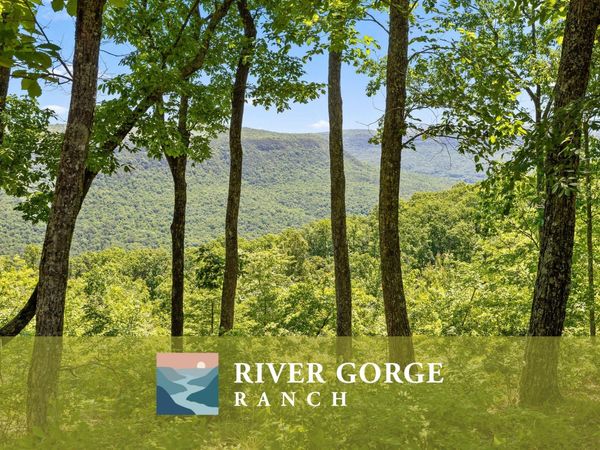 Lot 1266 Yaki Point, Guild, TN 37340