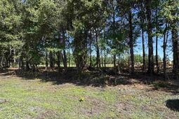 1876 Horry Rd.  photo 4