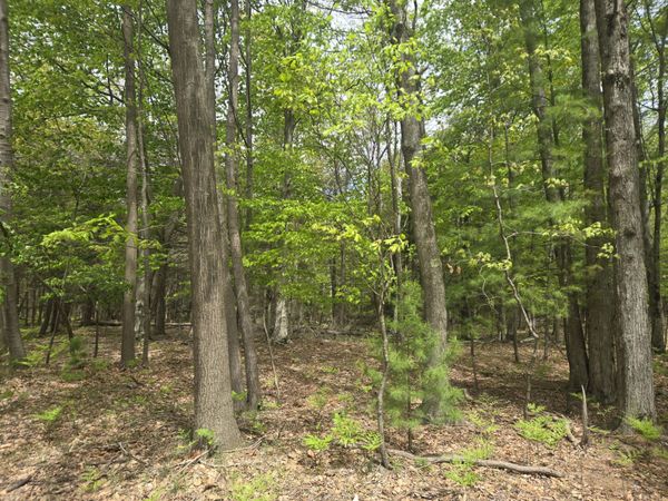 VL N Ridge Road, Mears, MI 49436