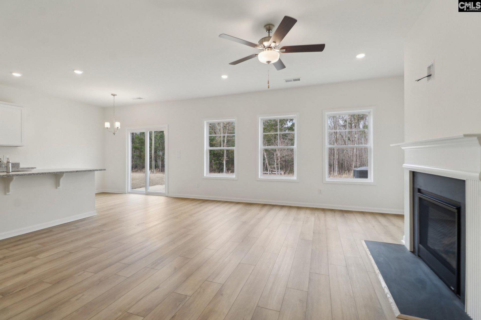 153 Dew Blossom Drive Photo 9