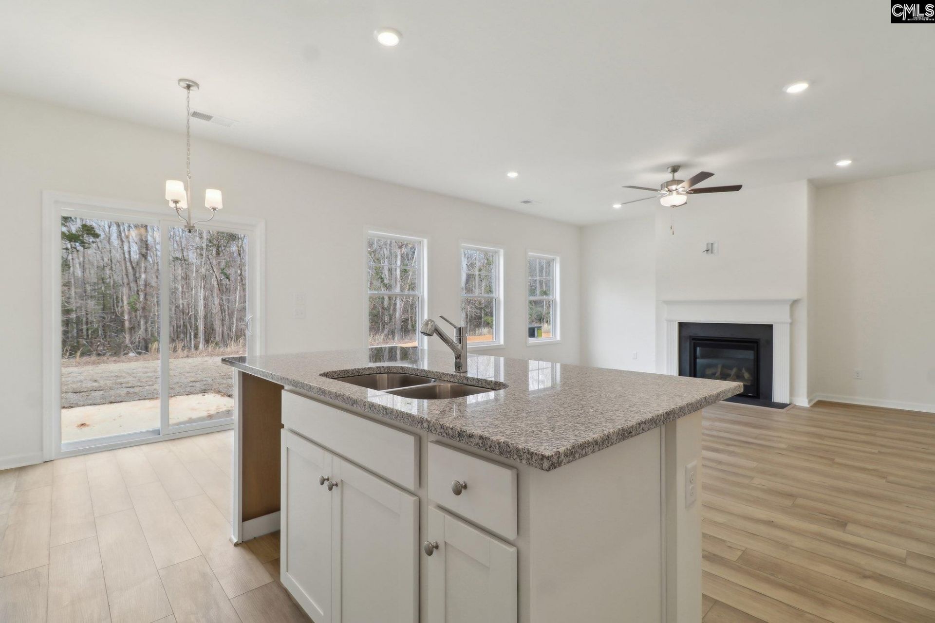 153 Dew Blossom Drive Photo 13