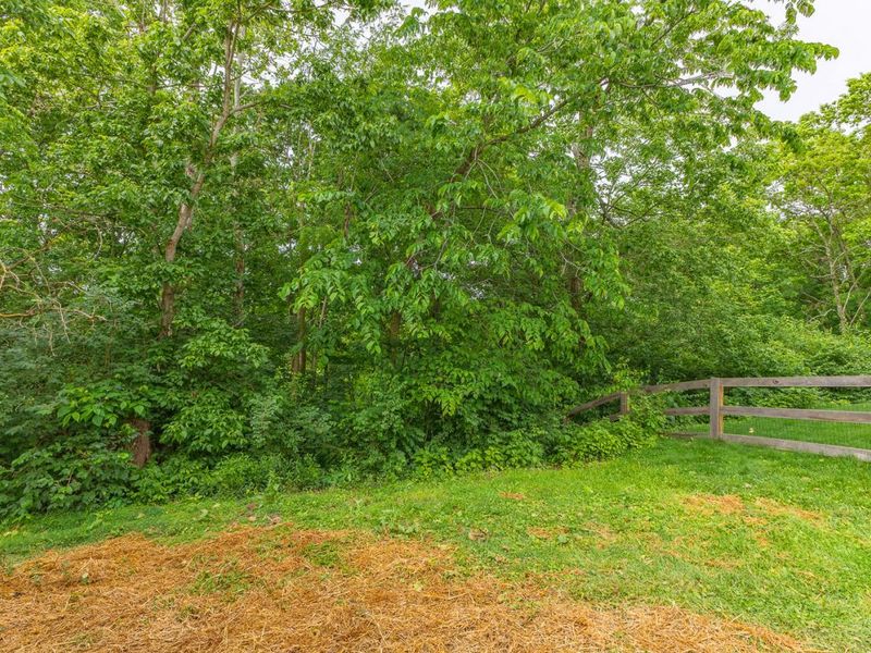 3245 Laurel Oak Court, Edgewood, KY 41017 Photo 32